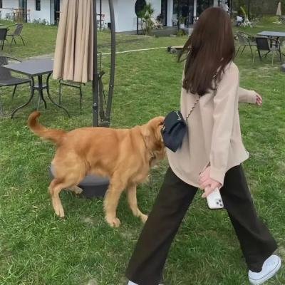 舞感青春